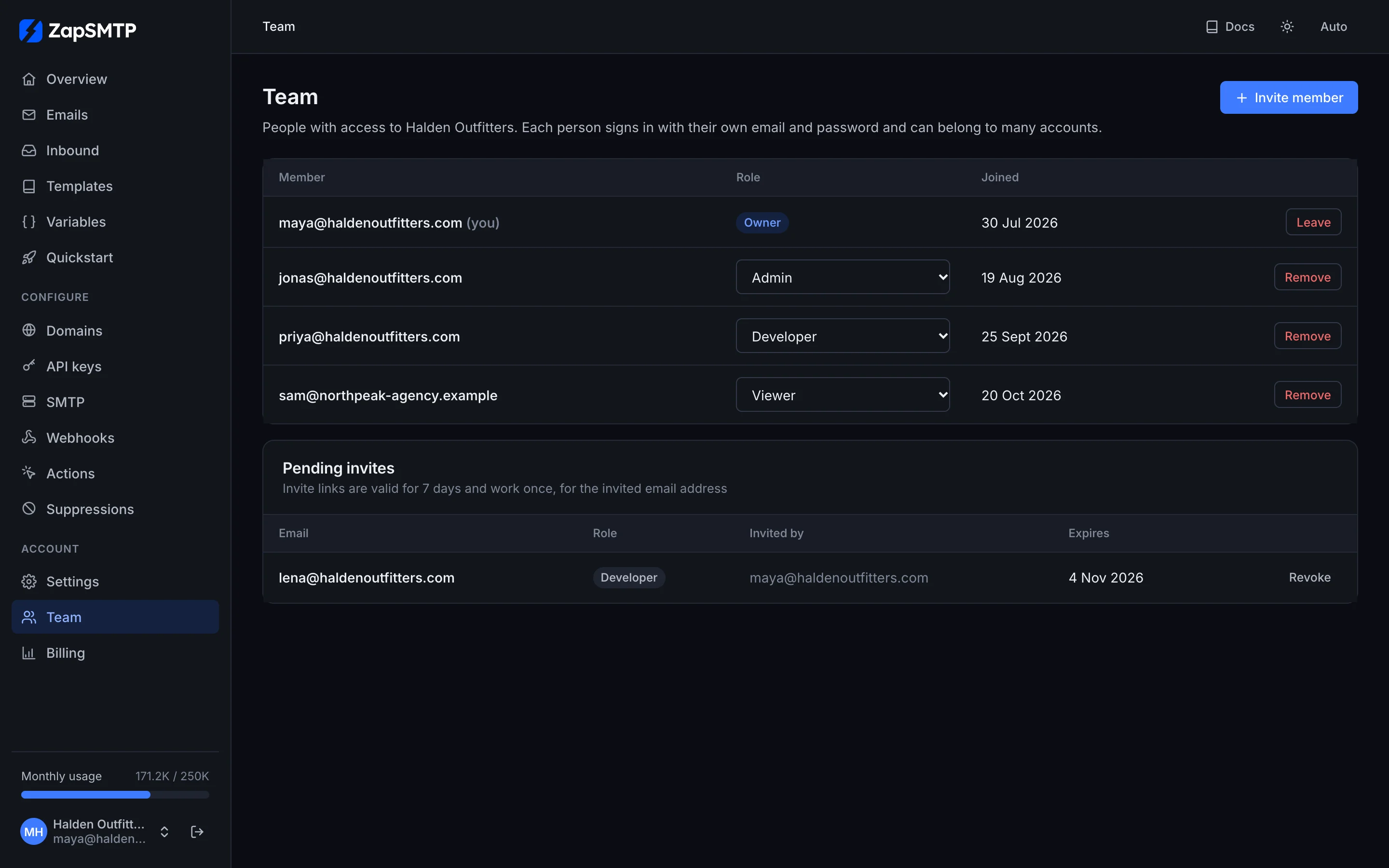 The Team page: an owner, an admin, a developer and an agency viewer, with a pending invite